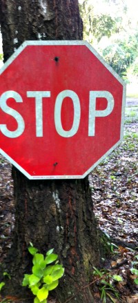 street-sign-Stop-edited