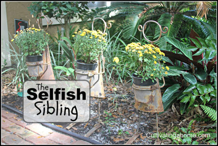 The-Selfish-Sibling