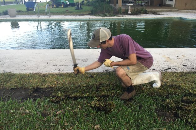 Psalm 7. Wrongfully Accused