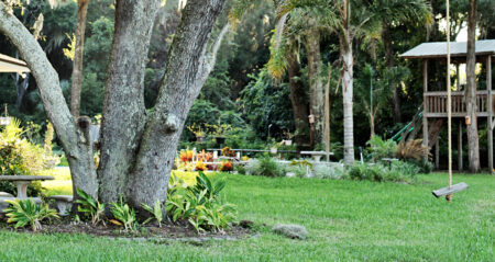 Psalm 12. Help! Im Surrounded by Liars